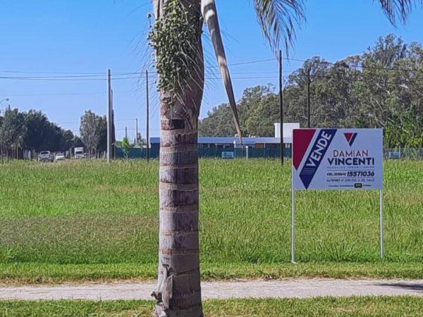 482000849_1083855043759656_3875077530755194291_n