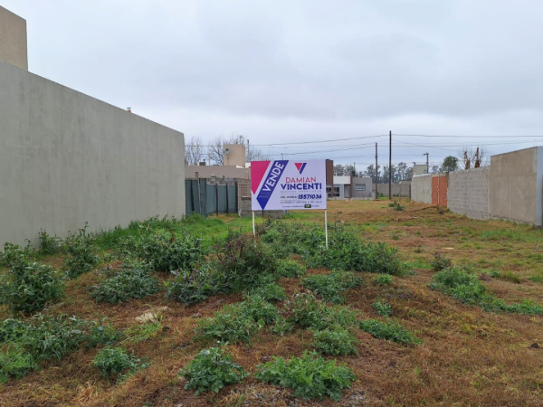 Diseño sin título (13)