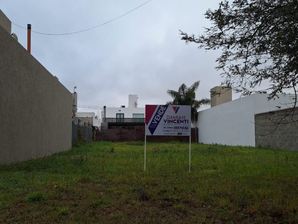 WhatsApp Image 2024-08-21 at 11.10.57 (1)