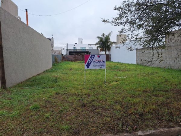 WhatsApp Image 2024-08-21 at 11.10.59 (2)