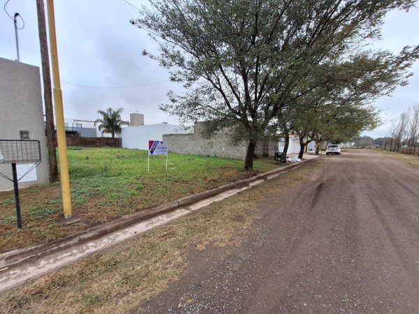 WhatsApp Image 2024-08-21 at 11.11.00