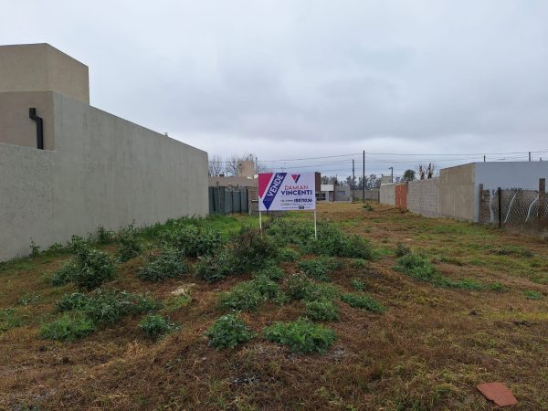 WhatsApp Image 2024-08-21 at 11.19.53