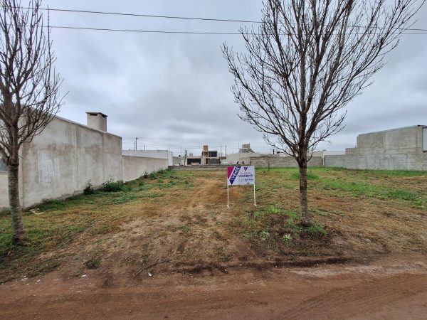 WhatsApp Image 2024-08-21 at 11.35.01 (1)