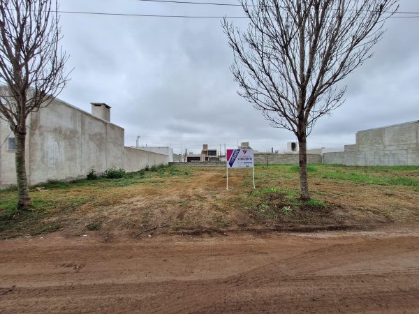 WhatsApp Image 2024-08-21 at 11.35.02