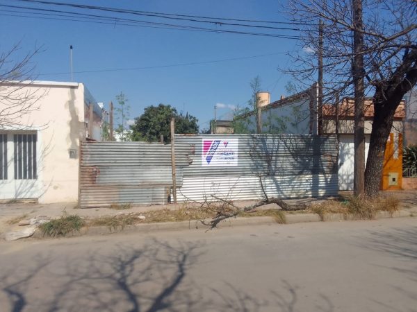 WhatsApp Image 2024-09-03 at 11.19.09