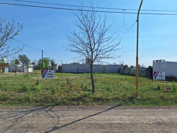 WhatsApp Image 2024-09-20 at 10.18.50 (1)