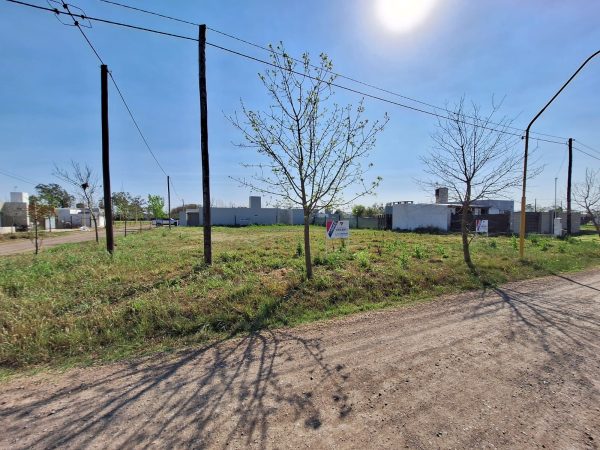 WhatsApp Image 2024-09-20 at 10.18.51 (1)