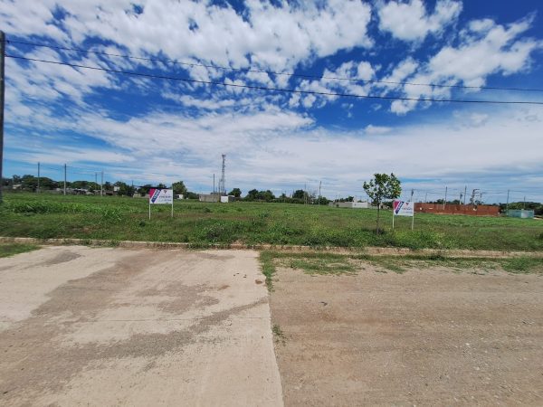 WhatsApp Image 2024-11-05 at 12.00.18 (1)