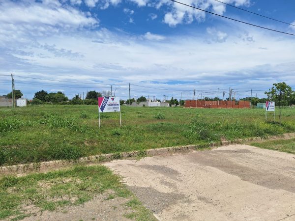 WhatsApp Image 2024-11-05 at 12.00.19 (1)