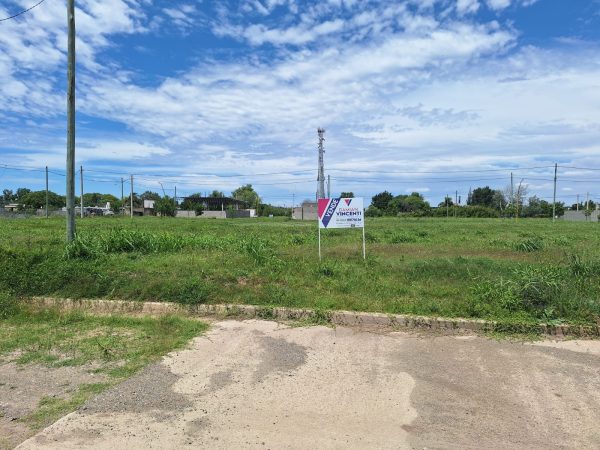 WhatsApp Image 2024-11-05 at 12.00.19 (3)