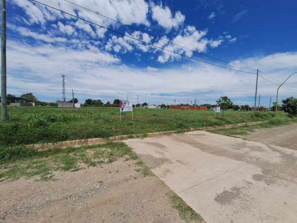 WhatsApp Image 2024-11-05 at 12.00.19