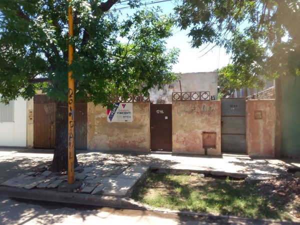 WhatsApp Image 2024-11-21 at 08.11.57