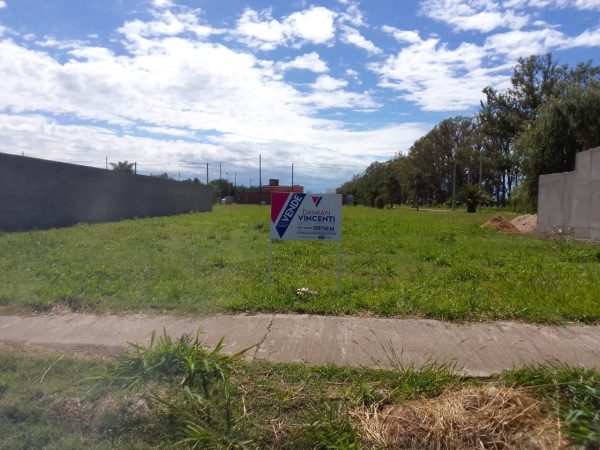 WhatsApp Image 2024-12-24 at 10.46.02