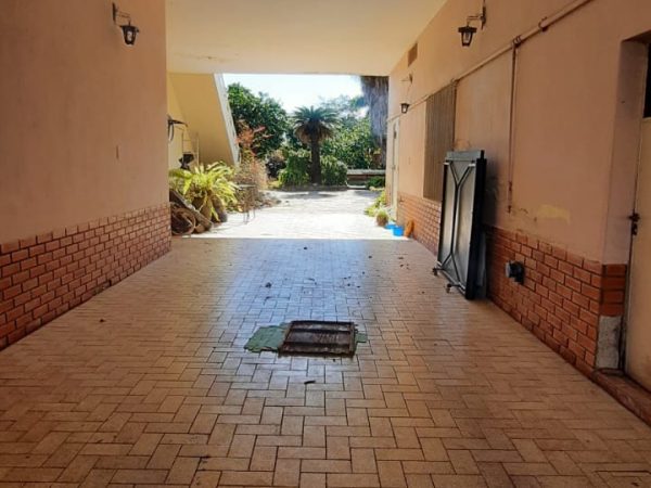 WhatsApp Image 2025-07-08 at 19.12.34 (1)