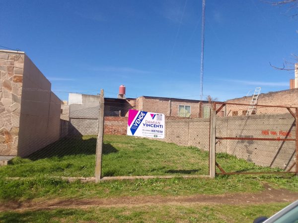 WhatsApp Image 2025-07-31 at 09.52.21 (2)