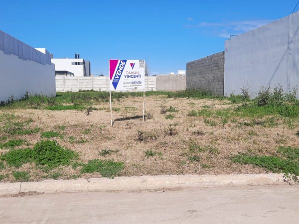 WhatsApp Image 2025-08-08 at 08.41.51 (1)