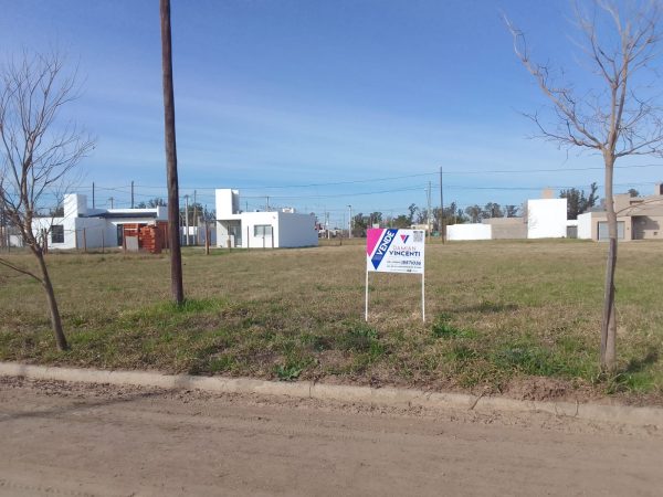 WhatsApp Image 2025-08-08 at 08.42.47 (12)