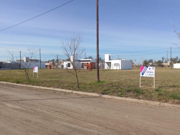 WhatsApp Image 2025-08-08 at 08.42.47 (15)