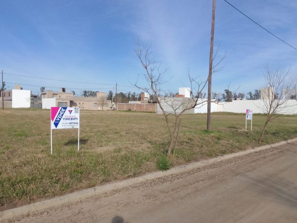 WhatsApp Image 2025-08-08 at 08.42.47 (17)