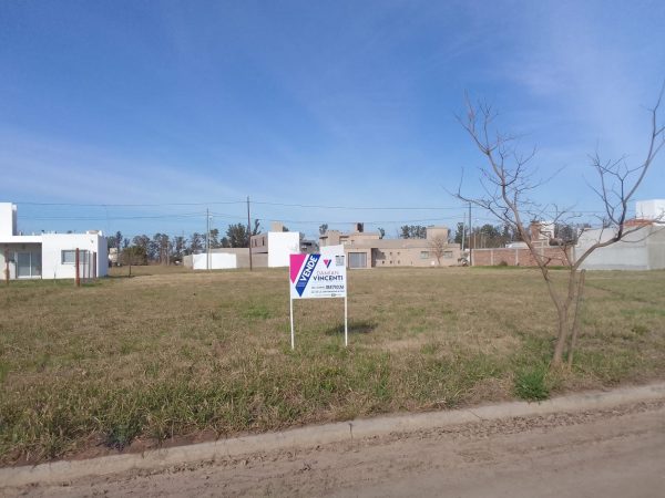 WhatsApp Image 2025-08-08 at 08.42.47 (19)