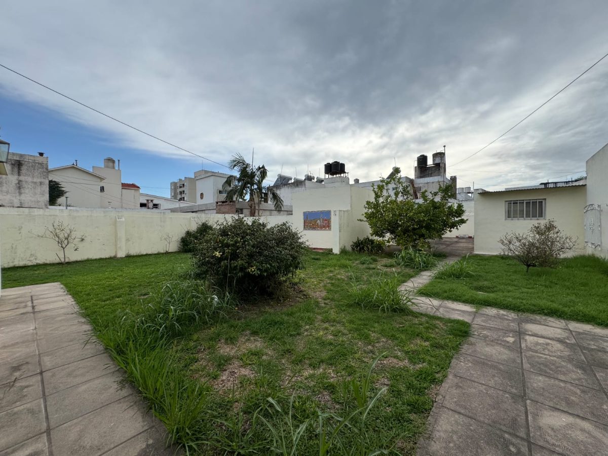 WhatsApp Image 2026-03-09 at 17.21.35 (1)