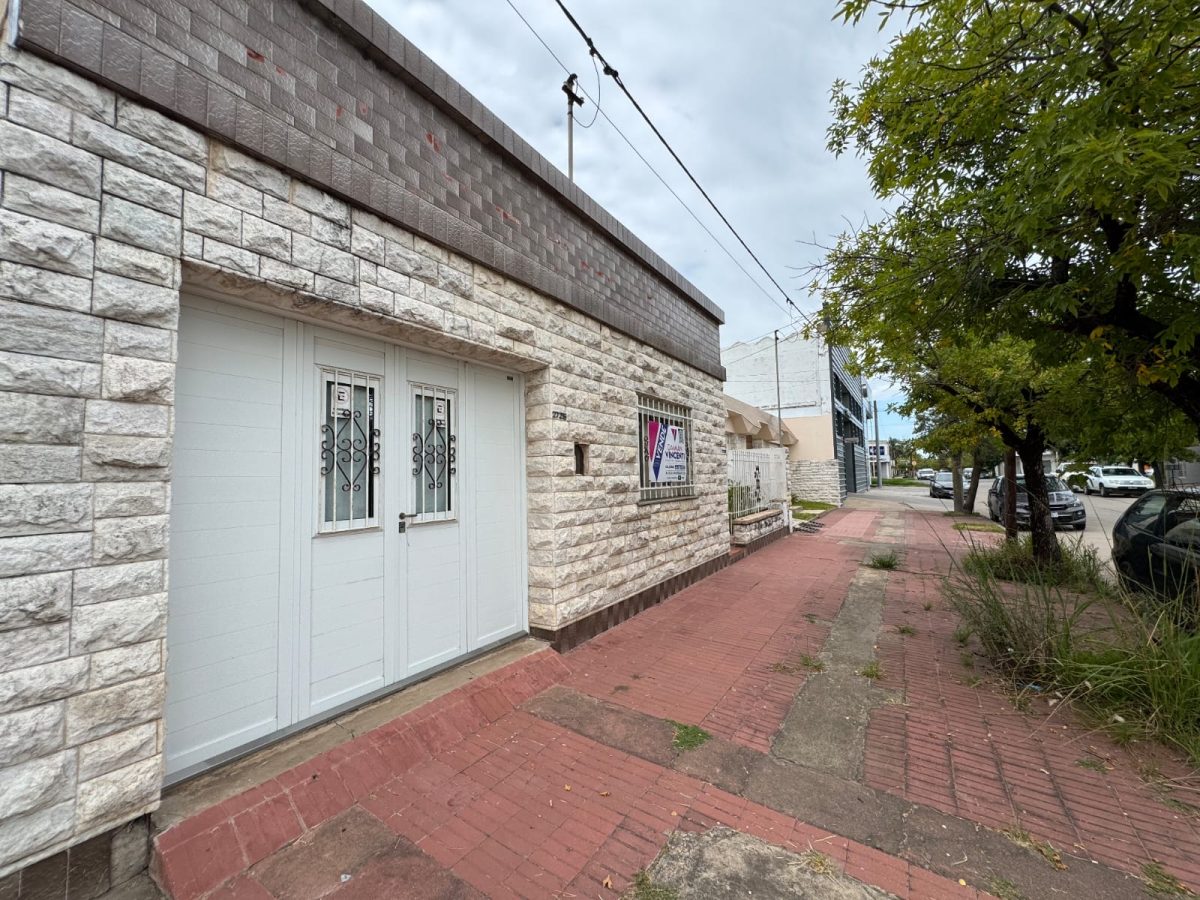 WhatsApp Image 2026-03-09 at 18.36.56 (1)