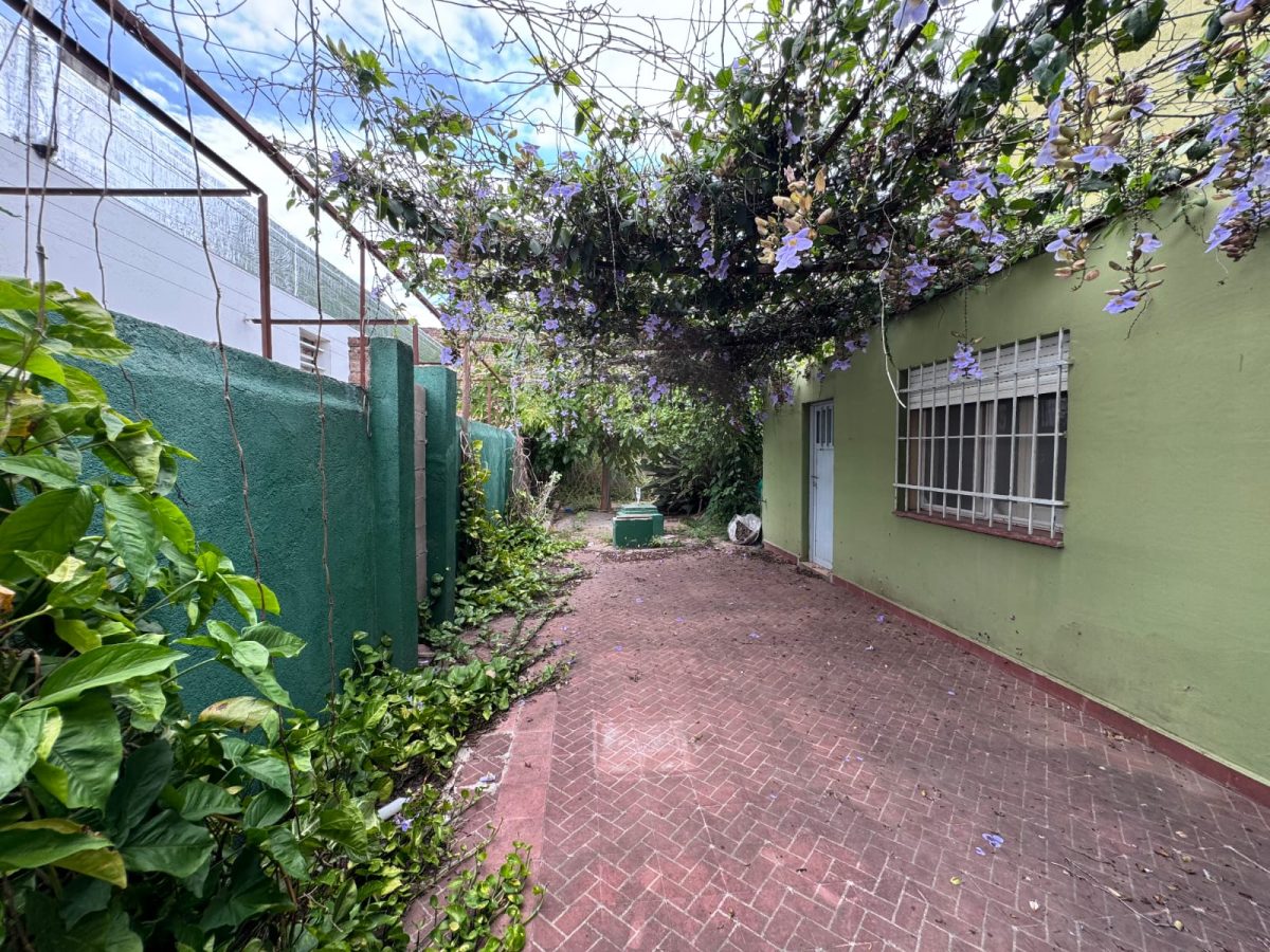 WhatsApp Image 2026-03-09 at 18.36.57 (2)